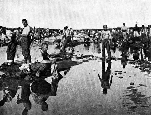 Detainees: German captives in Algeria, 1915