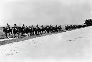 Kugelken: German cavalry on the Eastern Front, 1941