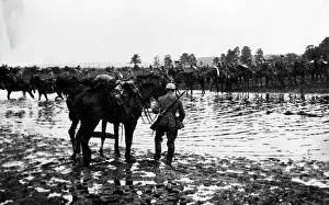 Submerged: German cavalry near the Daugava River, 1915