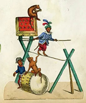 Monkeys: German circus scrap
