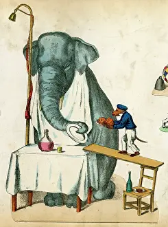 Monkeys: German circus scrap