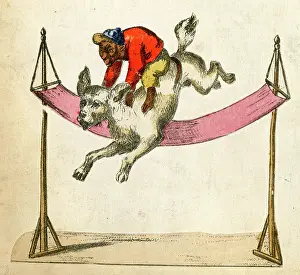 Monkeys: German circus scrap