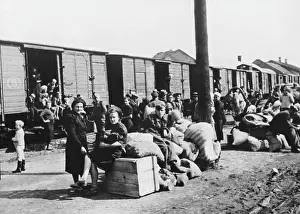Repatriated: German civilian evacuation WWII