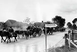 Hauled: German column at the beginning of the Russian campaign, 1941