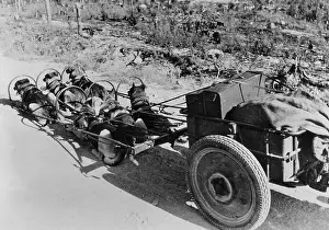 Deployed: German dog team on the Eastern front, 1943