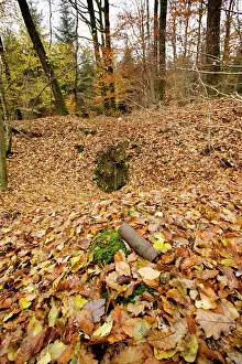 Unexploded: German dug-out and shell near Four de Paris, Argonne