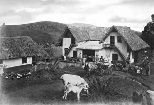 Usambara: German East Africa
