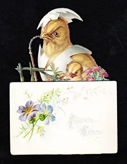 Eggshells: German Easter card with chicks and eggshells
