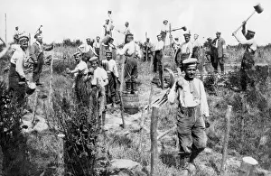 Pegs: German engineers building barbed wire defenses