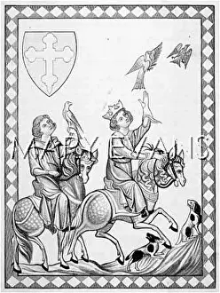 Junge: GERMAN FALCONRY 13C