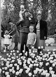 Spending: German family, 1943