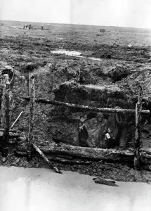 Provisional: German field position at Stalingrad, 1942