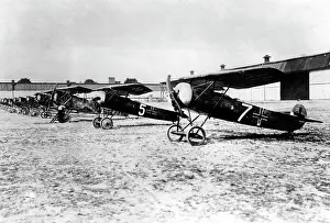 Terms: German fighter planes after the First World War, 1919