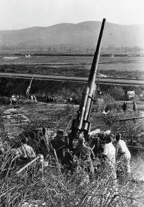 Edelweiss: German flak in the Kuban bridgehead, 1943