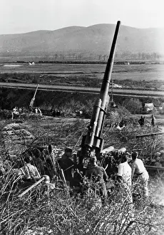 Kuban: German flak in the Kuban bridgehead, 1943