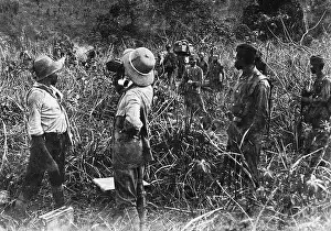 Determines: German-French border control in Cameroon, 1913