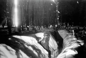 Blockade: German guards at Peterhof, 1942