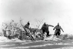 Heading: German gun near Toropez, 1942