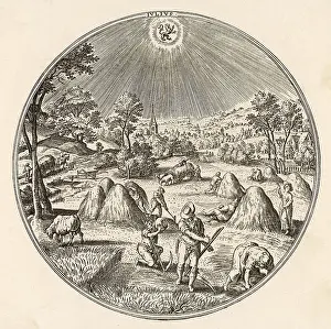 Shines: GERMAN HAY 1570