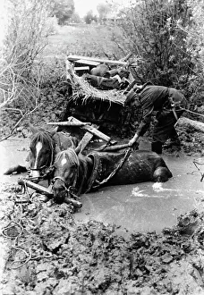 Bogged: German horse-drawn carriage on the Eastern Front, 1942