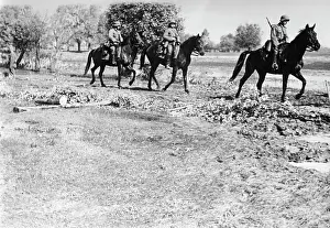 Horsemen: German horsemen on the Eastern Front, 1941