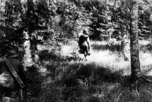 Gaining: German infantry on the Eastern Front, 1941