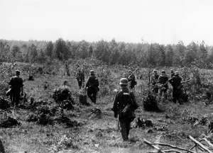 Glade: German infantry on the Eastern Front, 1941