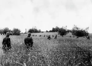 Dispersed: German infantry on the Eastern Front, 1941