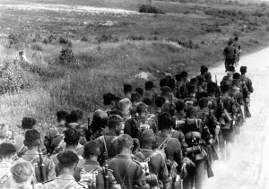 German Soviet: German infantry on the Eastern Front, 1941