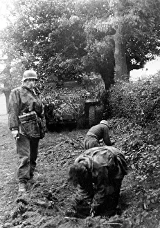 Hedge: German infantry on the Western Front, 1944