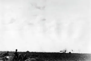 Expect: German infantrymen on the Eastern Front, 1941