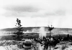 Observes: German infantrymen on the northern Eastern Front, 1941