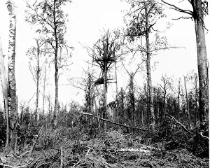 Mametz: German lookout post, Mametz Wood, Western Front, WW1