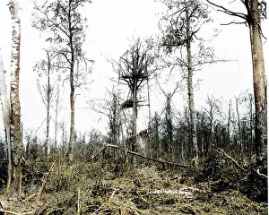 Mametz: German lookout post, Mametz Wood, Western Front, WW1