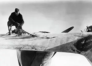 Sweeps: German Luftwaffe fighter aircraft - the Eastern Front, 1941