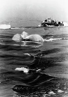 Towed: German minesweepers in the Sea of Azov, 1942