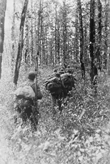 Maikop: German mountain troops in the Caucasus, 1942