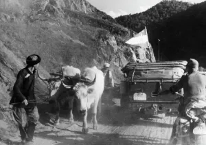 Heeresgruppe: German mountain troops in the Caucasus, 1942