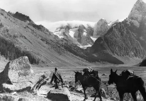 Digger: German mountain troops in the Caucasus, 1942
