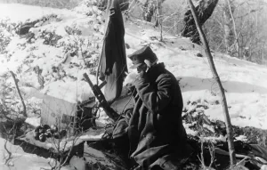 Edelweiss: German mountain troops in the Caucasus, 1942