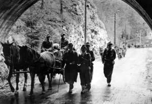 Front Line: German Mountain Troops in Hungary, 1944