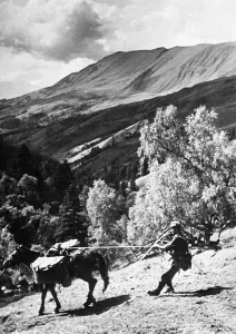 Downhill: German mountain troops on Mount Elbrus, 1942