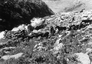 Elbrus: German mountain troops on Mount Elbrus, 1942