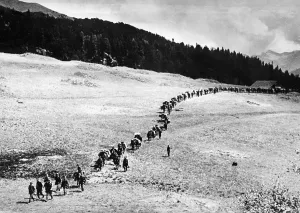 Edelweiss: German mountain troops on Mount Elbrus, 1942