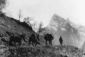 Digger: German mountain troops on Mount Elbrus, 1942