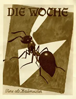 Trowel: German newspaper poster advertisement