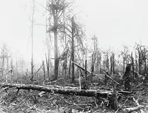 Guillemont: German observation post WWI