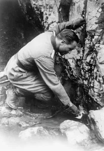 Heeresgruppe: German officer, 1942