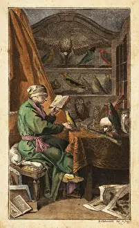 Buffon: German ornithologist in his study, 18th century