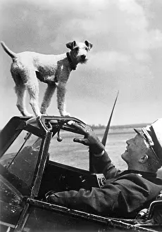 Mascot: German Pilot, 1942